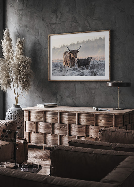 Hooglander en kalf poster