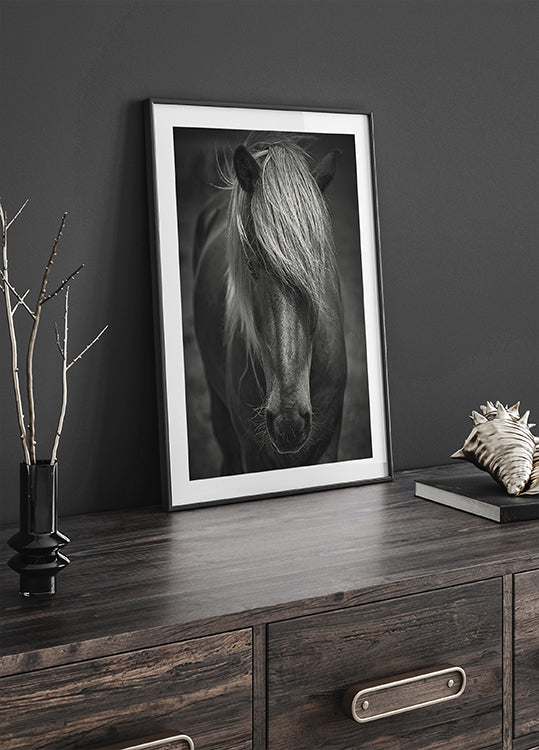 Alpine Surf Dude-poster