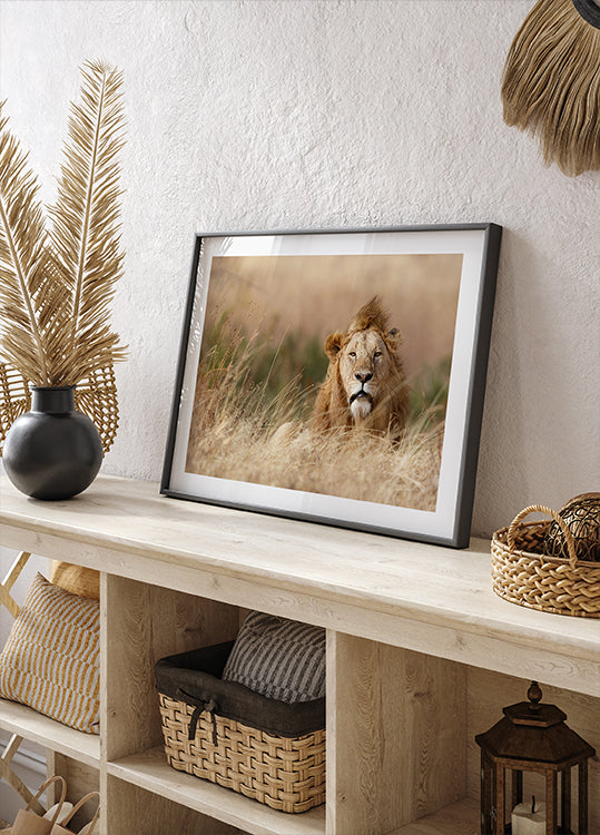 Knap! Poster