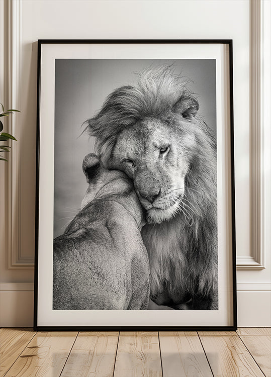 Afrikaanse liefde! Poster