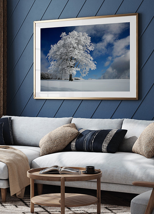 Witte Windbuche in het Zwarte Woud