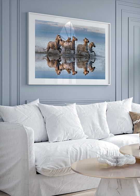 Paarden en reflectie