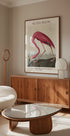 Pink Flamingo Birds of America, Audubon 1827 Plakat - Posterbox.dk
