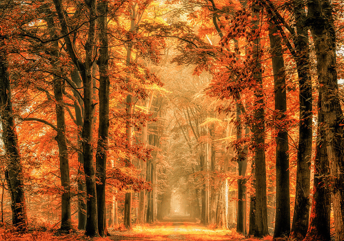 Verlaat de Portaalposter