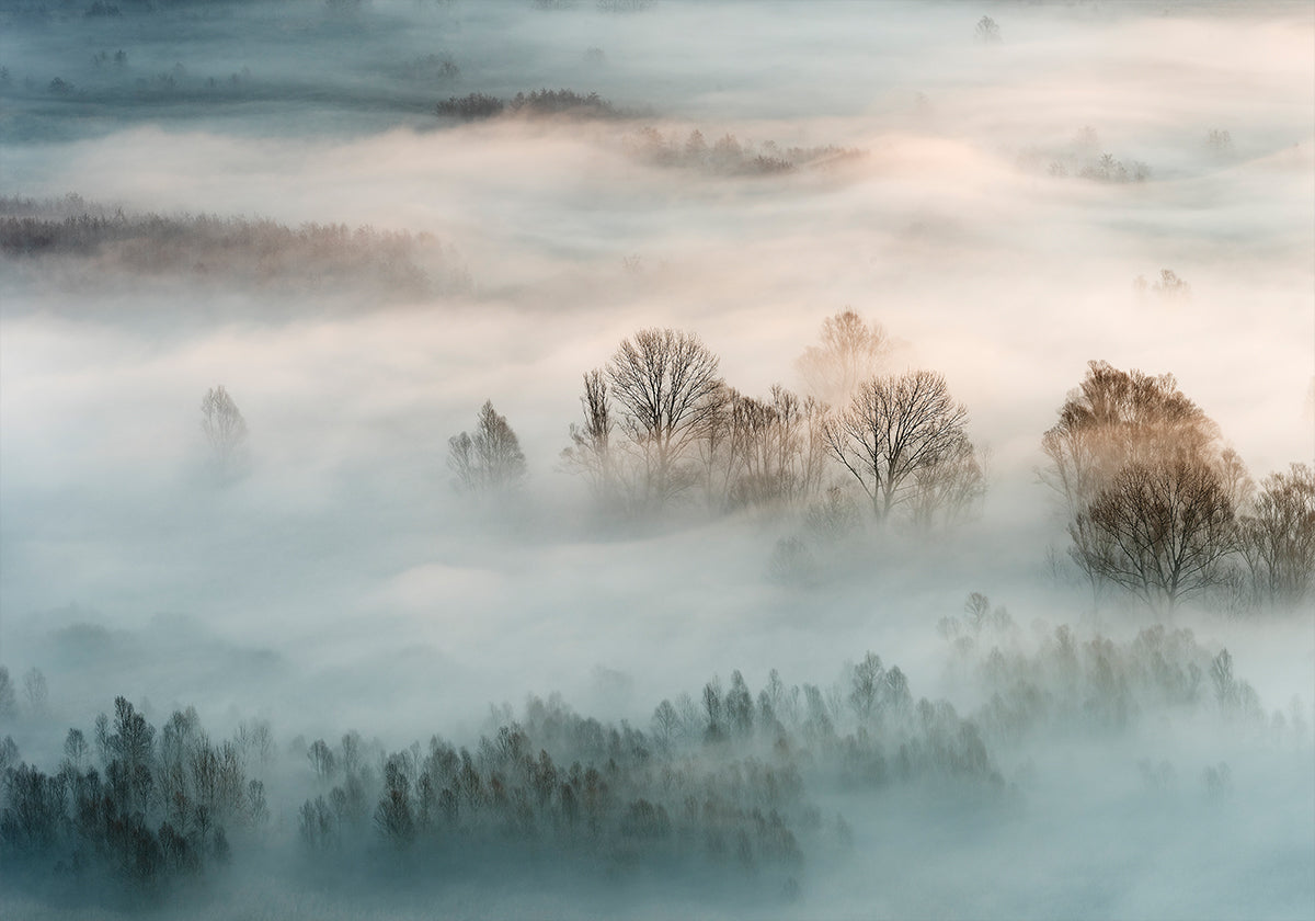 Winter mist poster