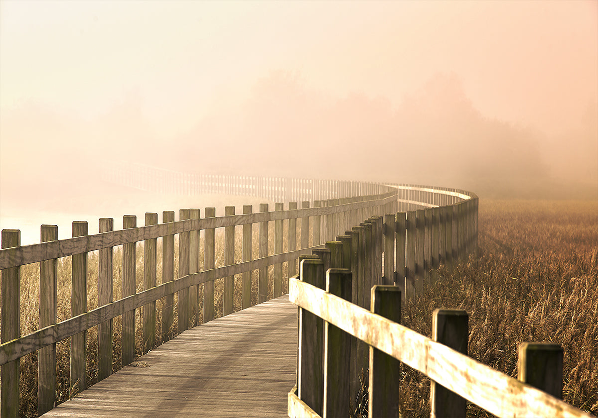 Het pad wordt helderder.