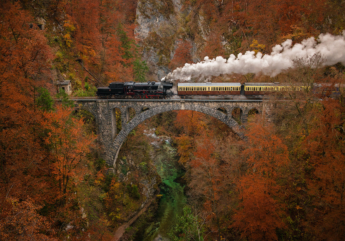 Museumtreinposter