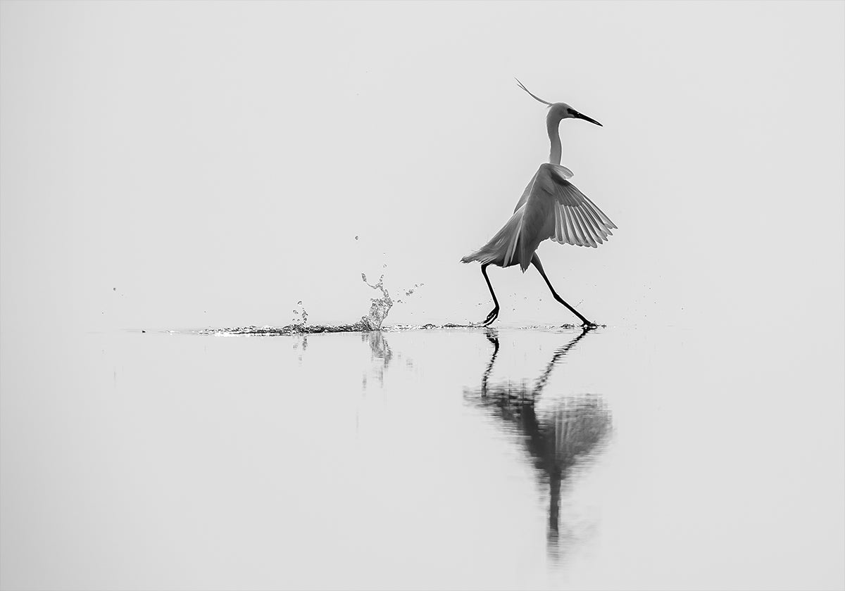 Poster "Dansen op het water".
