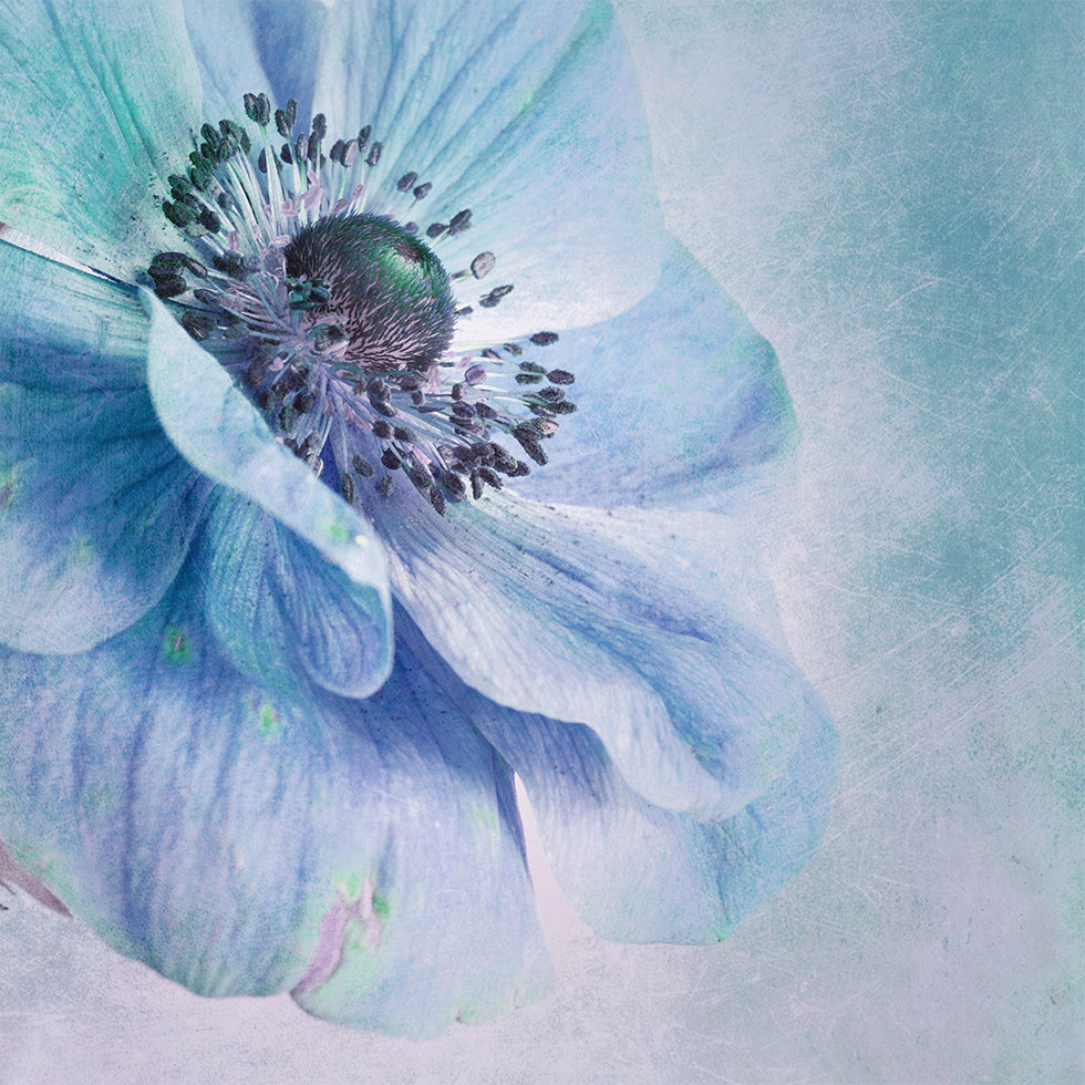 Tinten blauw-poster
