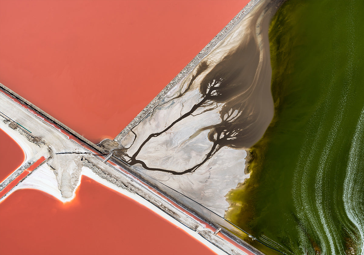 Het schilderij van de natuur