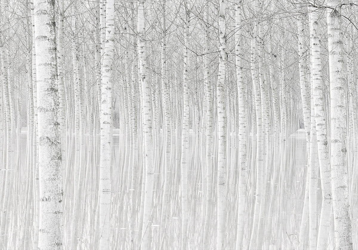 Bomen