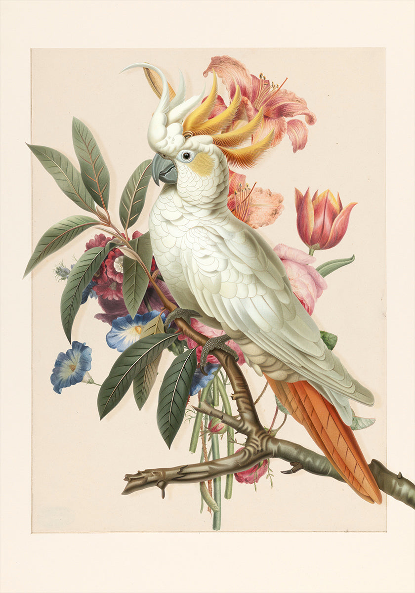 Henriëtta’s Bird (NEW) - Posterbox