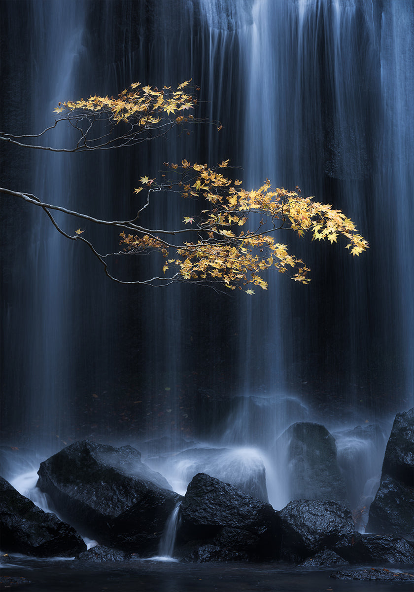 Gele herfst