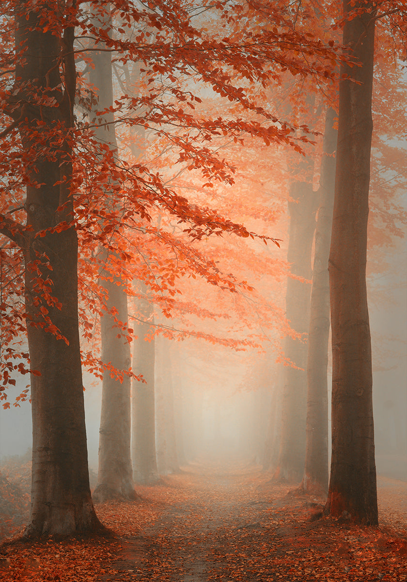 Herfst droom poster