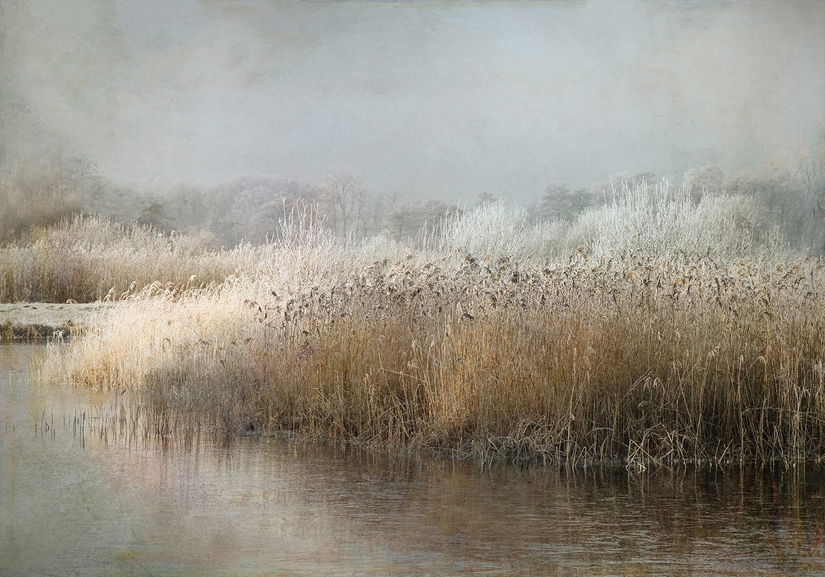 Winterochtend-poster