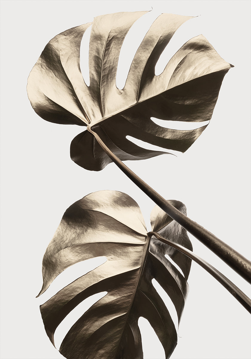 Monstera goud 08-poster