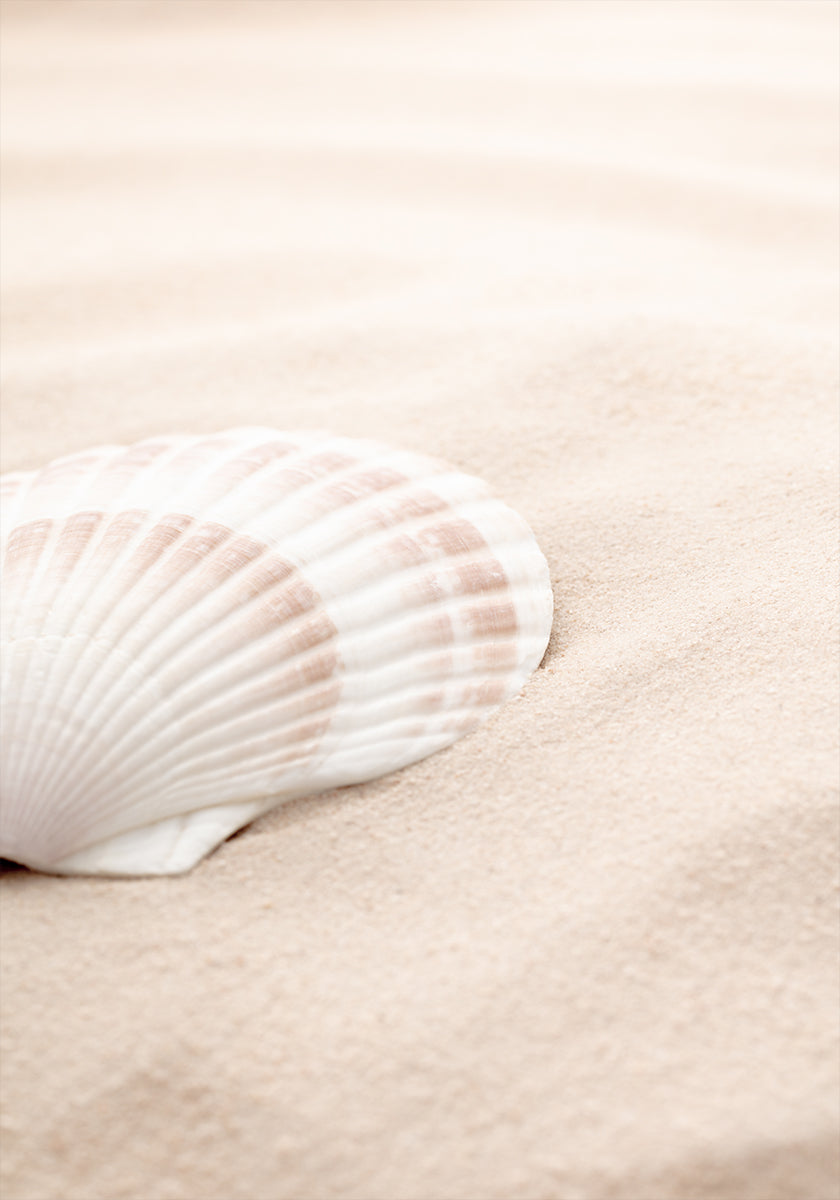 Shell_3-poster