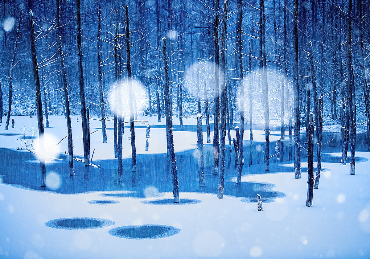 Sprookjesland-poster