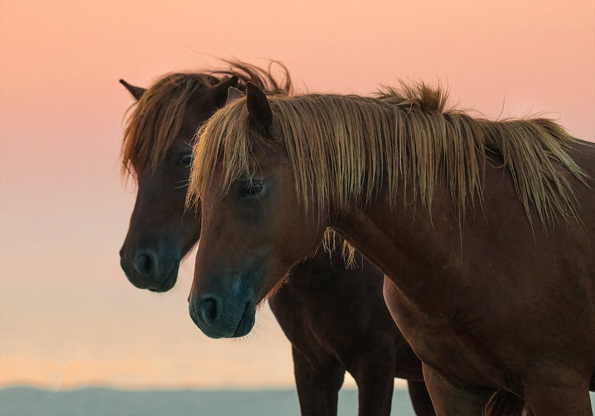 Vooruitblikkend Poster