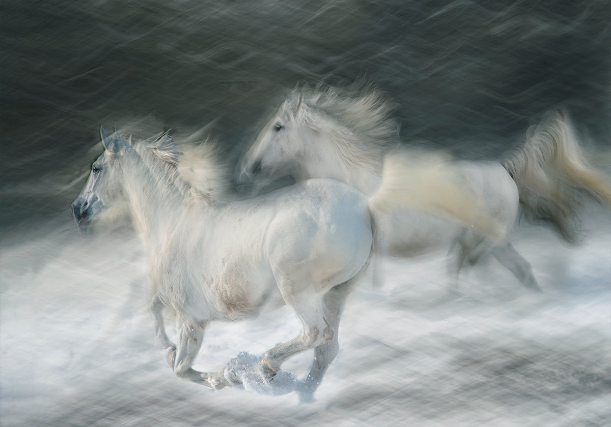 galop in een duelposter