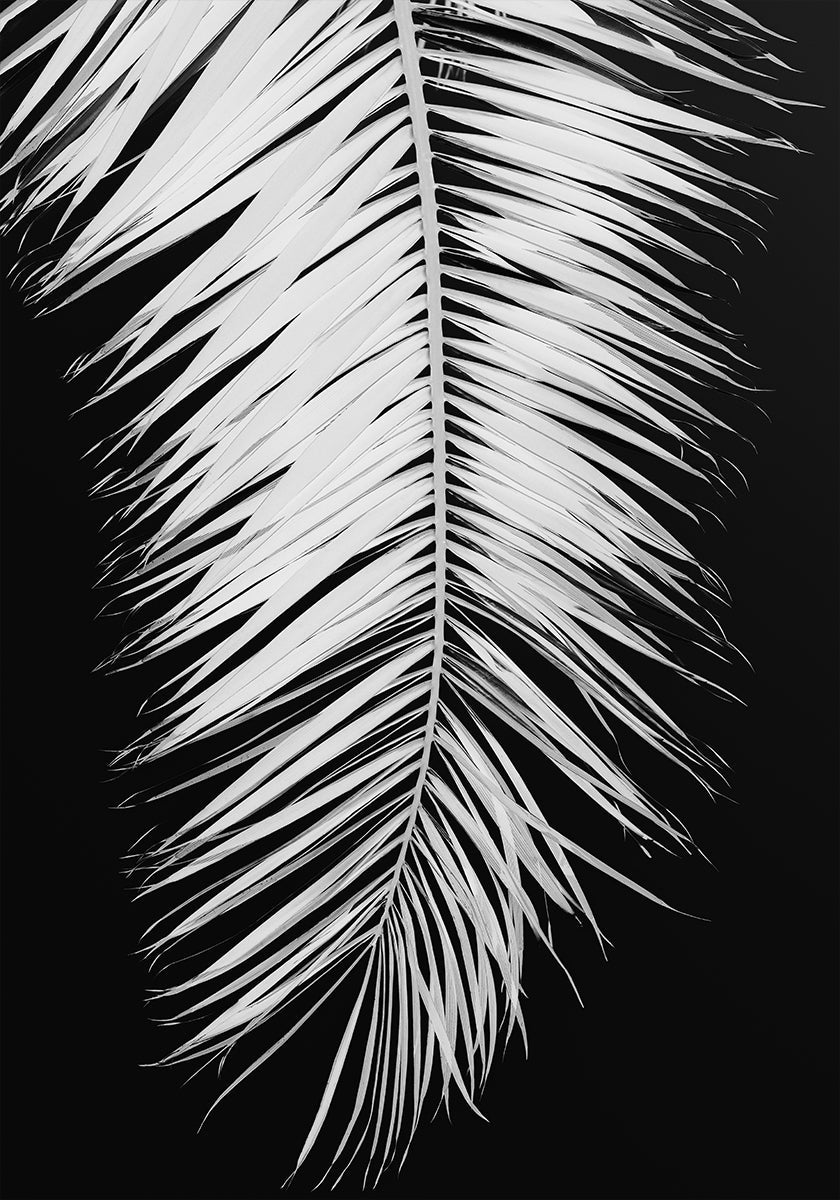 Palmblad nr. 4 poster