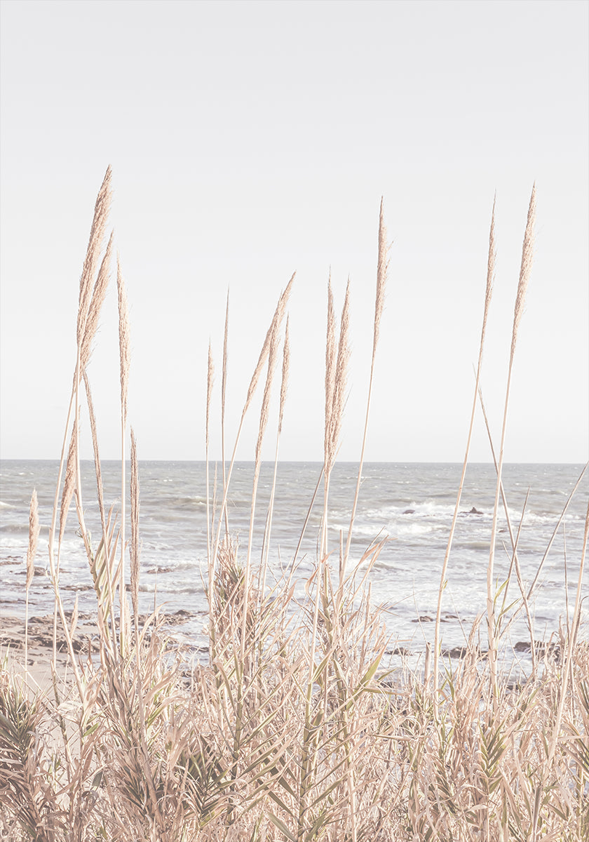 Strand_Vass_001-poster