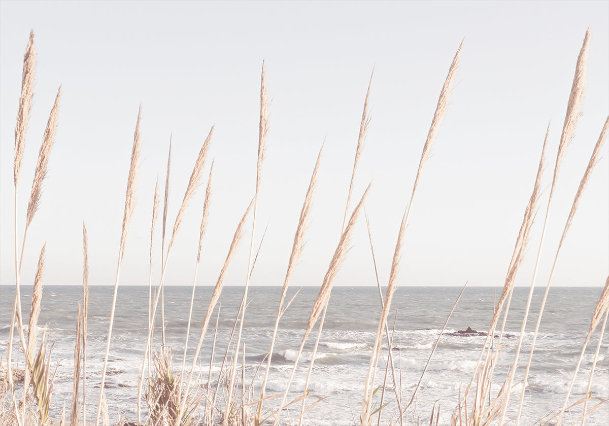 Strand_Vass_002-poster