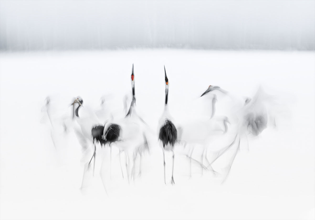 Kalligrafische balletposter