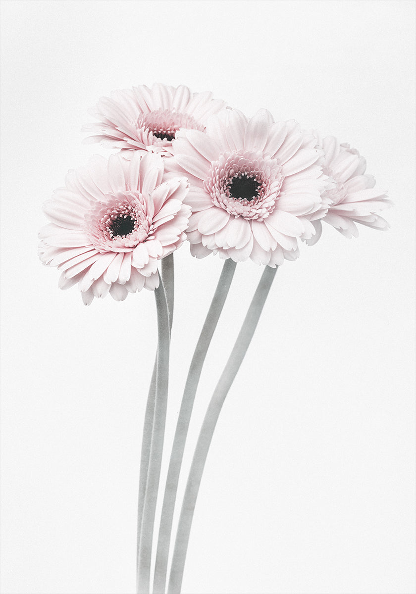 Roze bloemen-poster