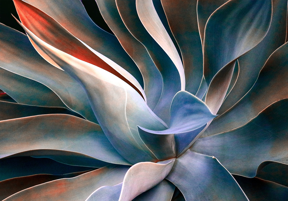 De kleuren in bladeren Poster