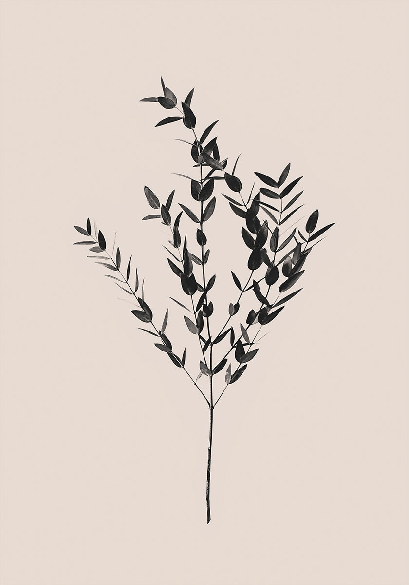 Inktachtige botanische