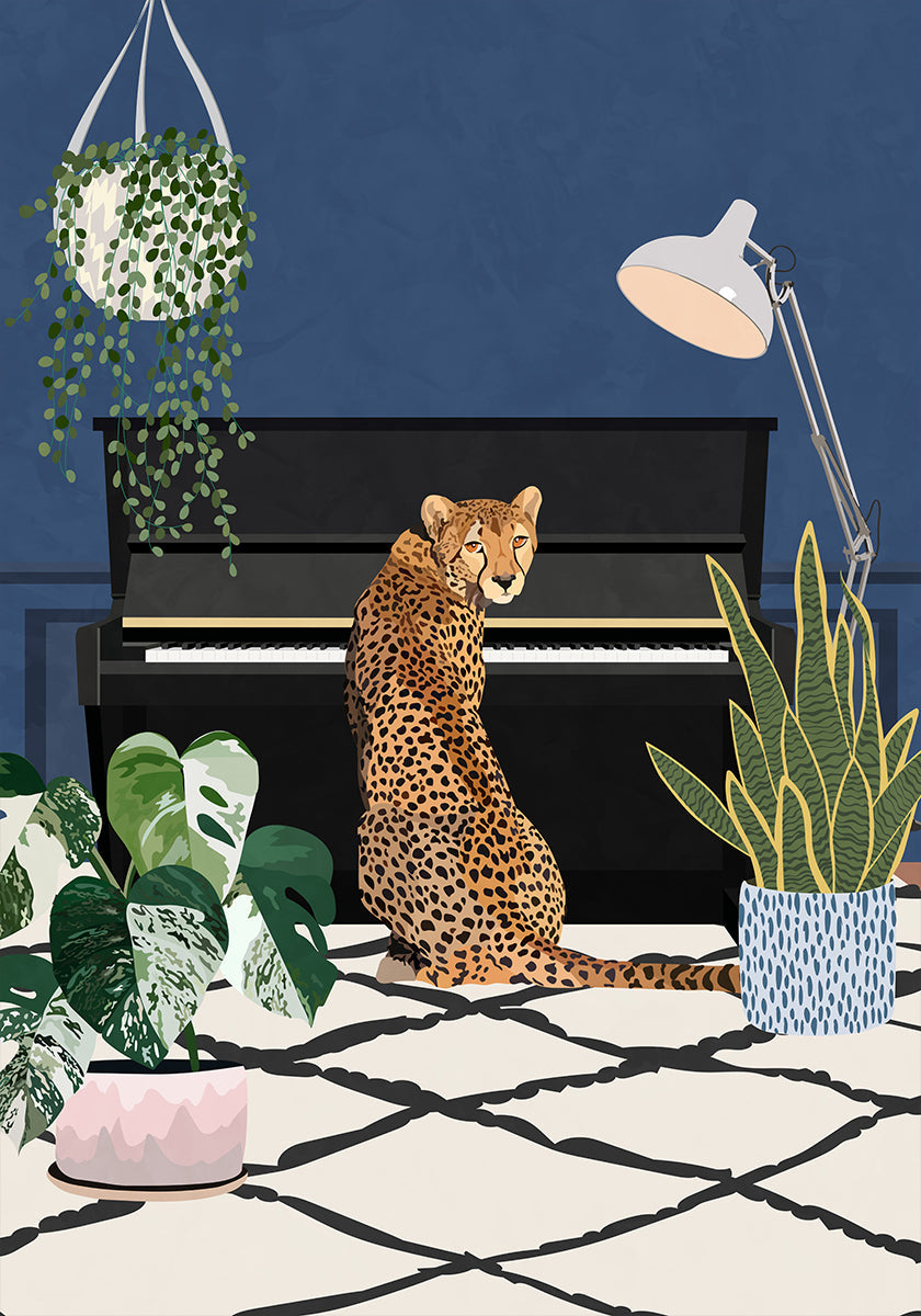 Cheetah speelt piano Poster