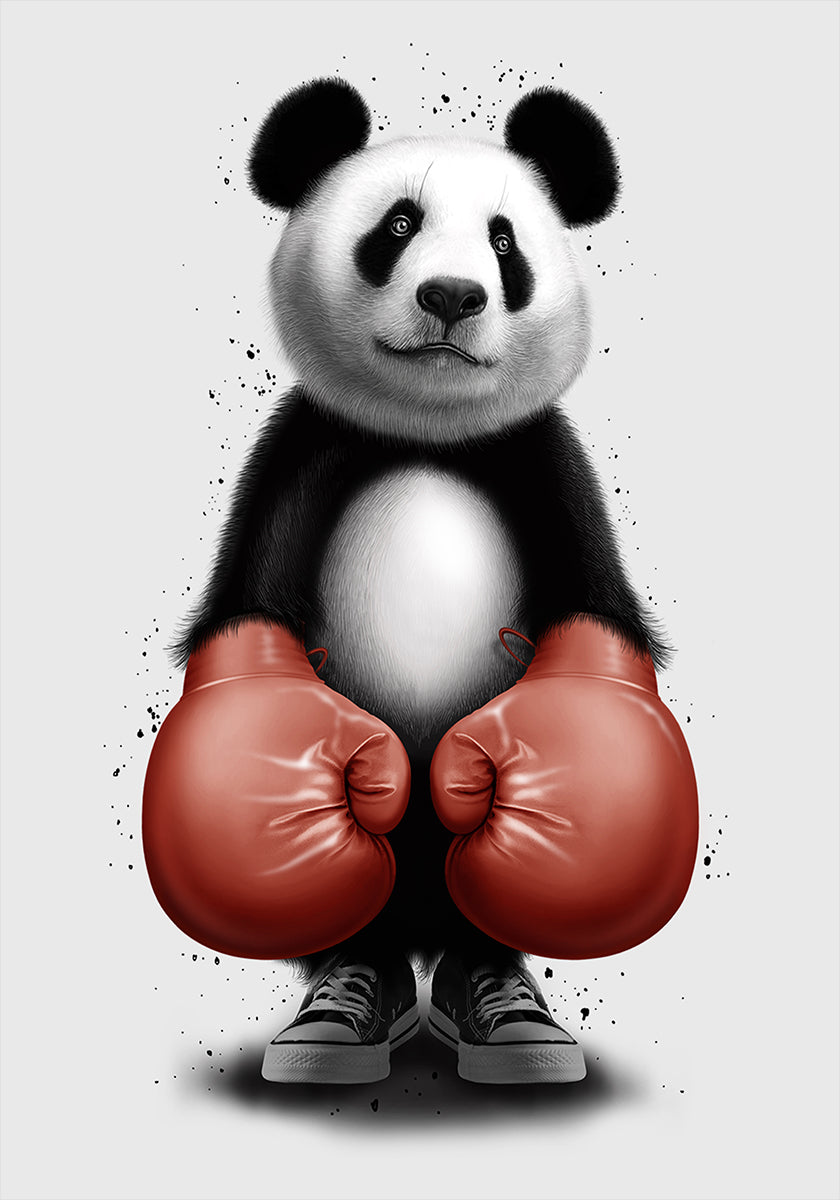 PANDA BOXER-poster