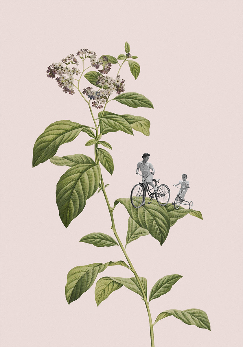 Botanisch fietsen