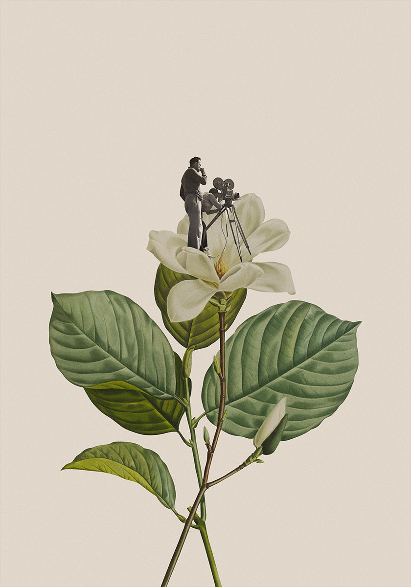 Botanische vintage cameraman Poster