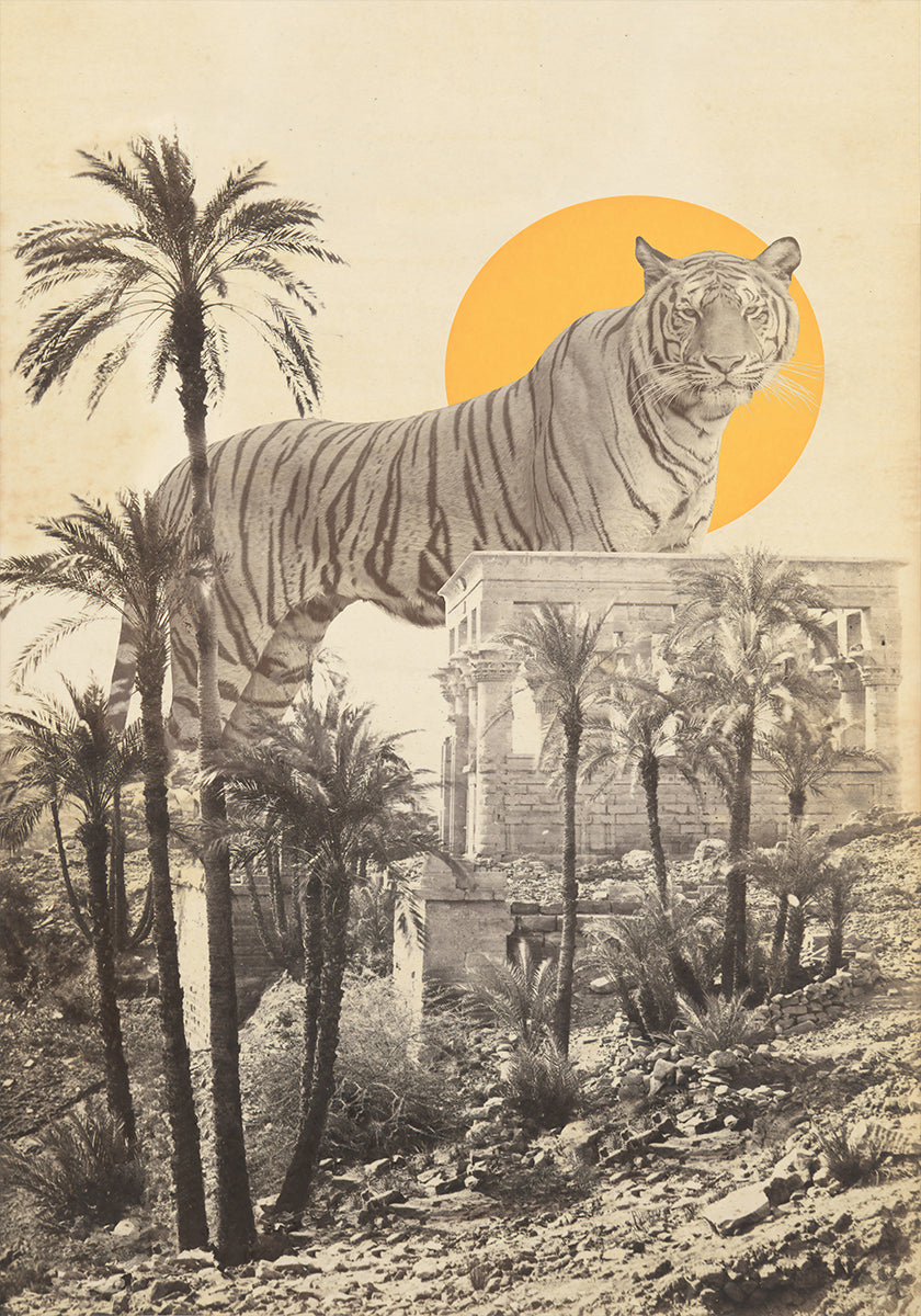 Reuze Tijger In Ruïnes