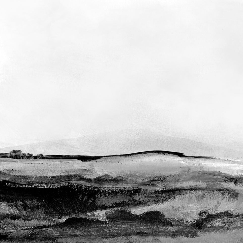 Mono landschap nr. 1 poster