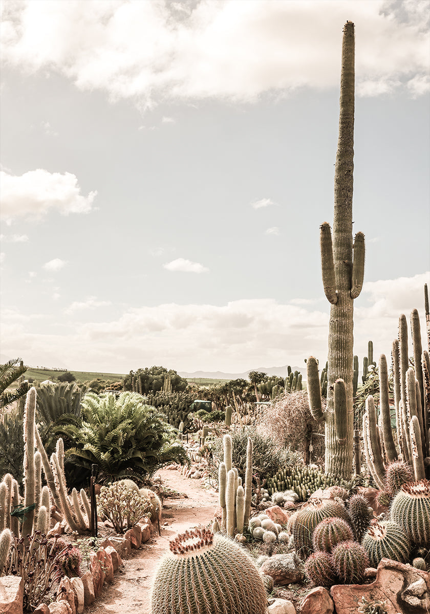 Cactus boerderij poster