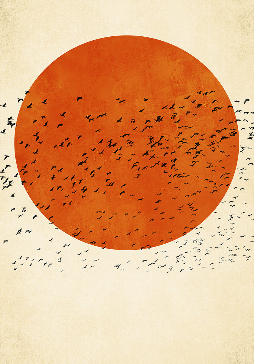 Vogels in de zon-poster