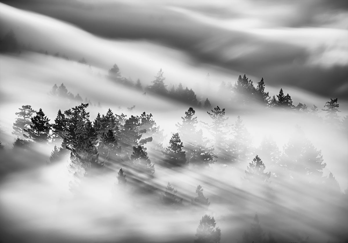 Whispers Through the Mist Plakat