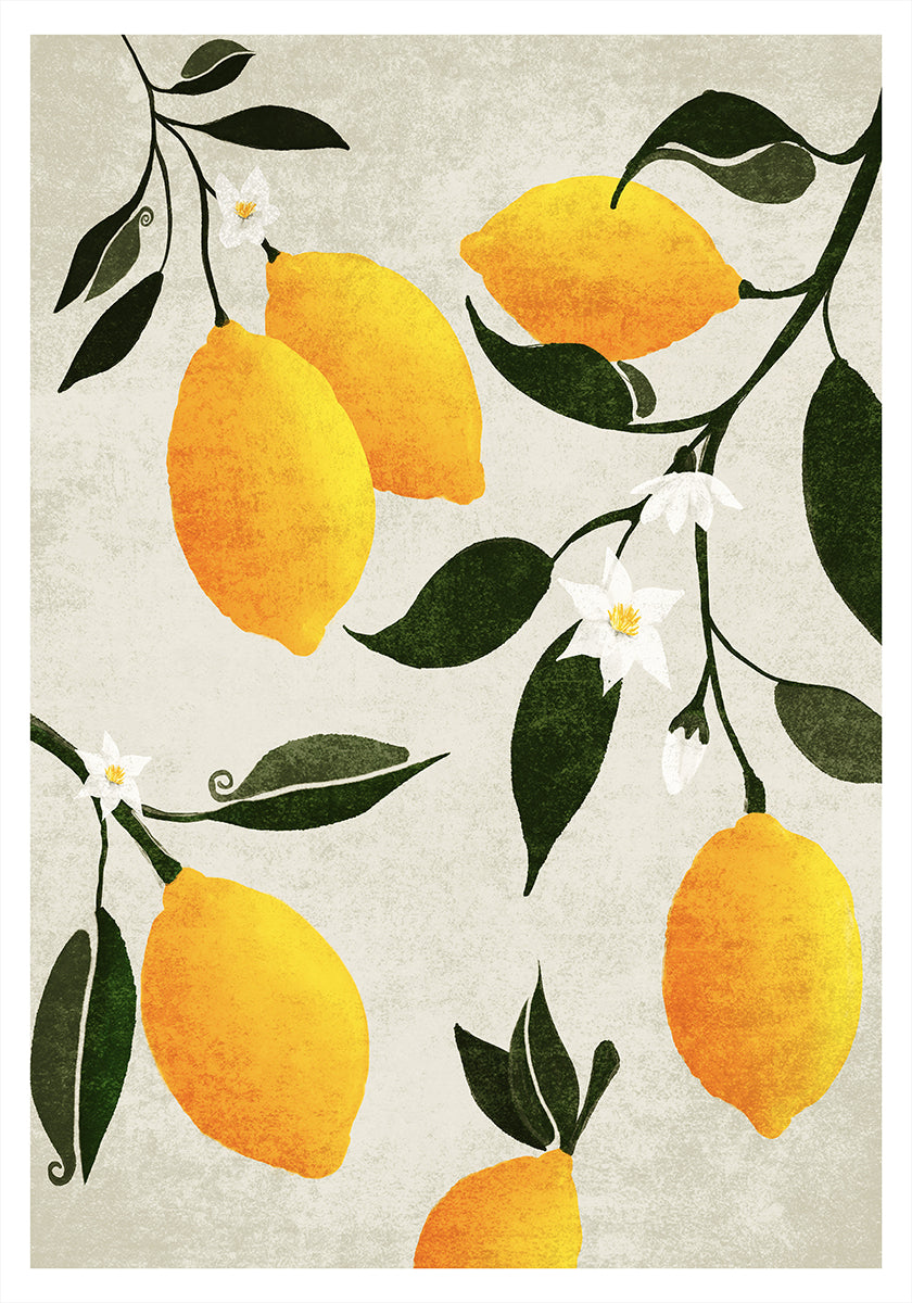Citrus symfonie poster