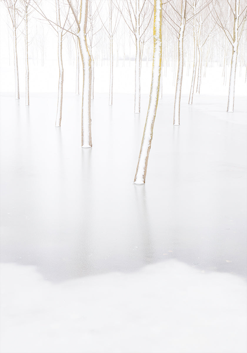 Winter reflectie poster