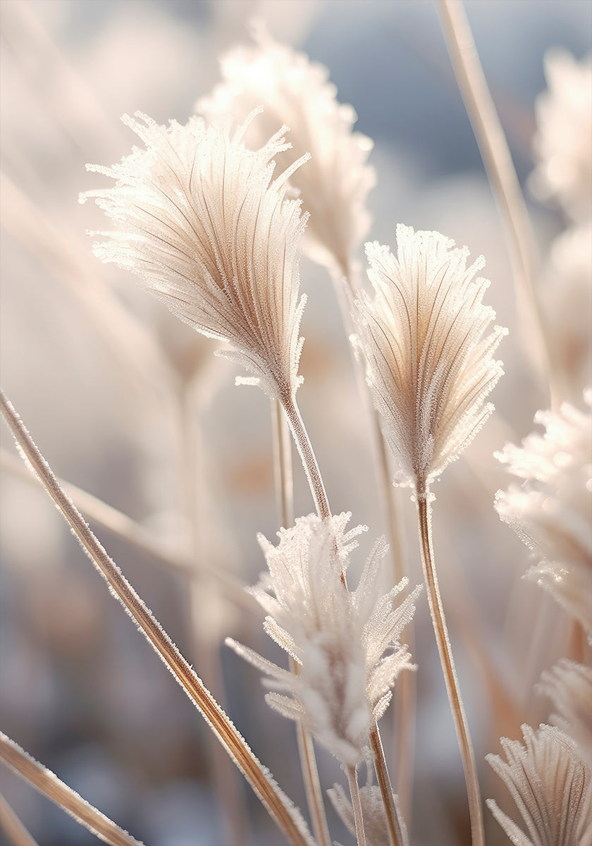 Frosted elegantie poster