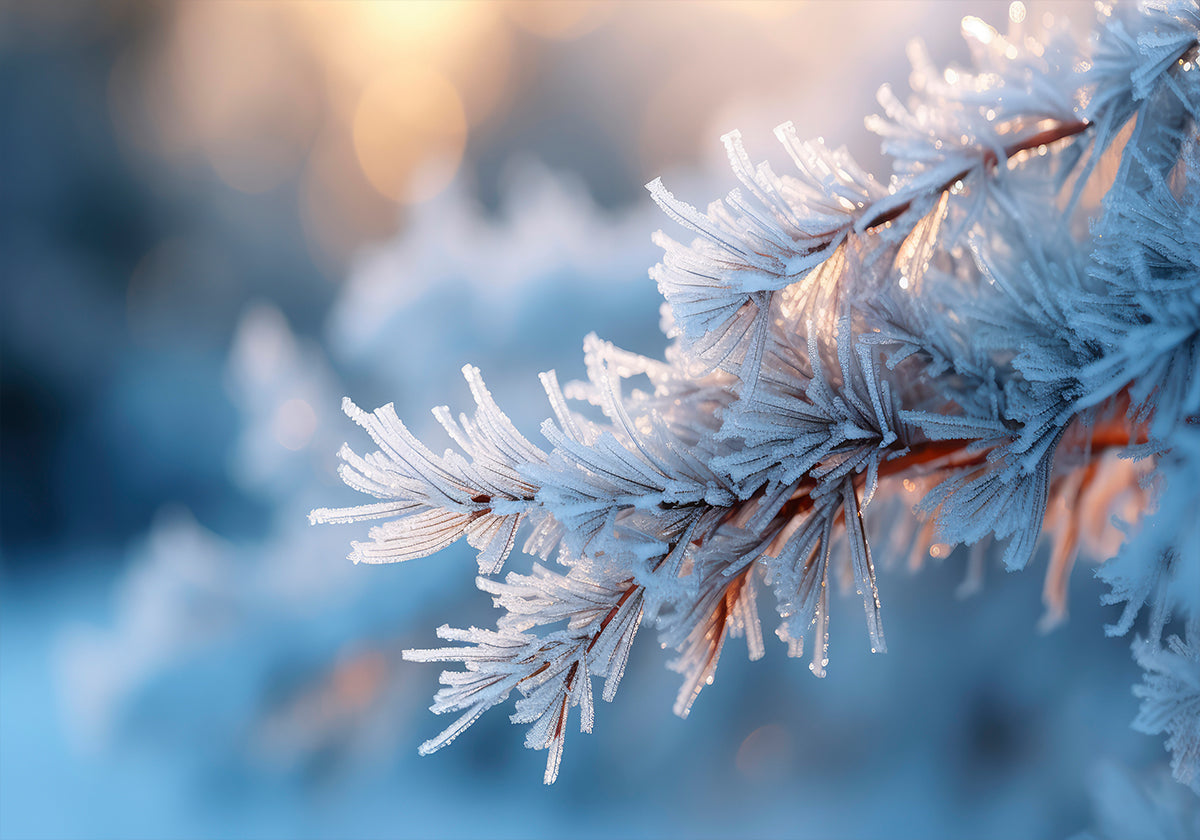 Frosted sereniteit poster