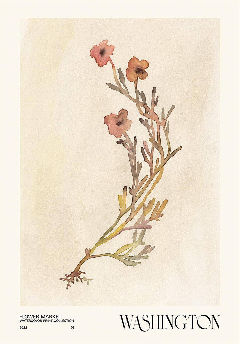 Collectie aquarelprints. Bloemenmarkt - Washington