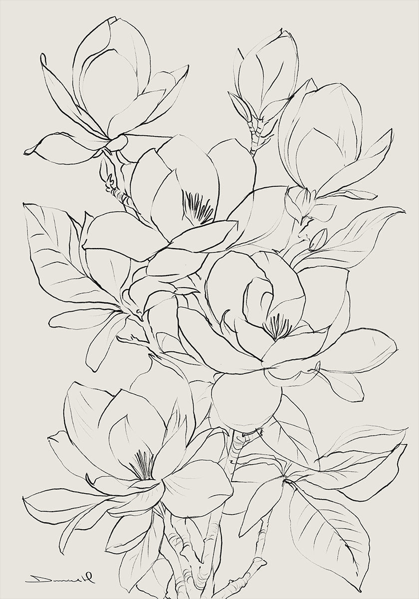 Magnoliaboom