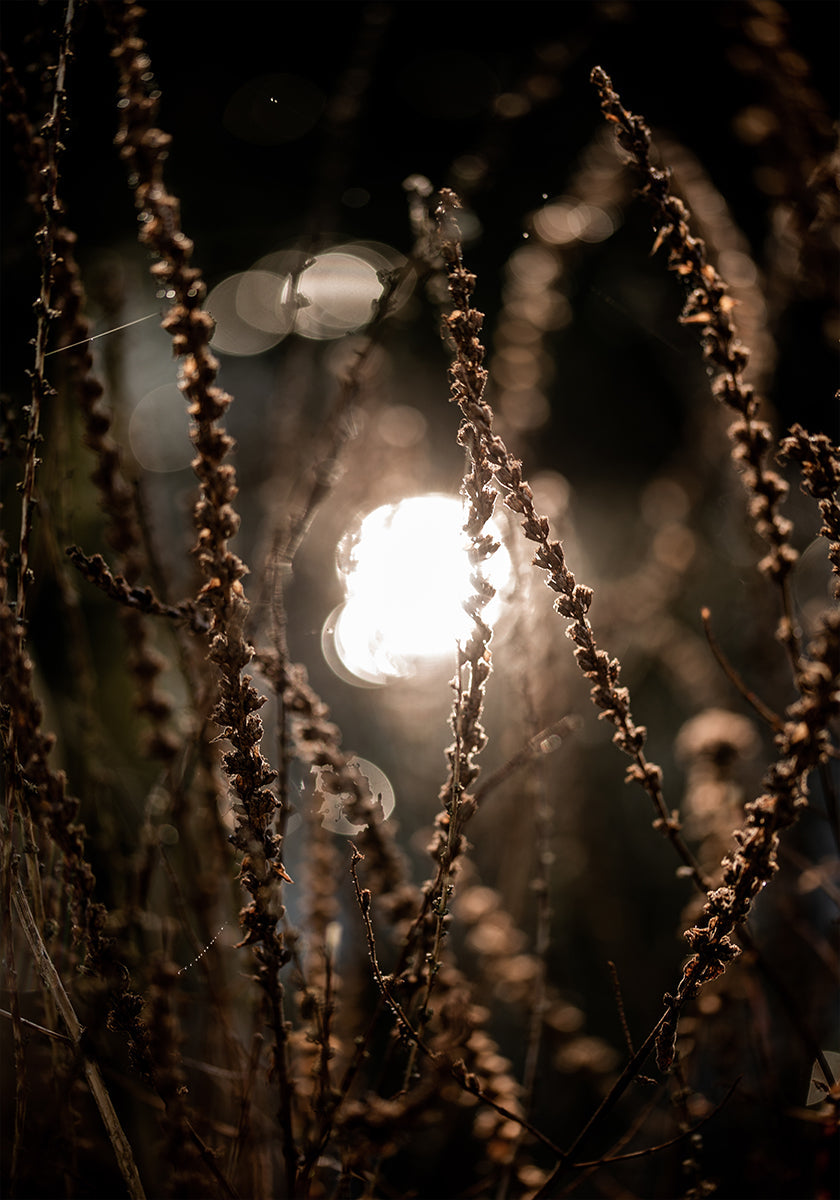Herfstverlichting 2