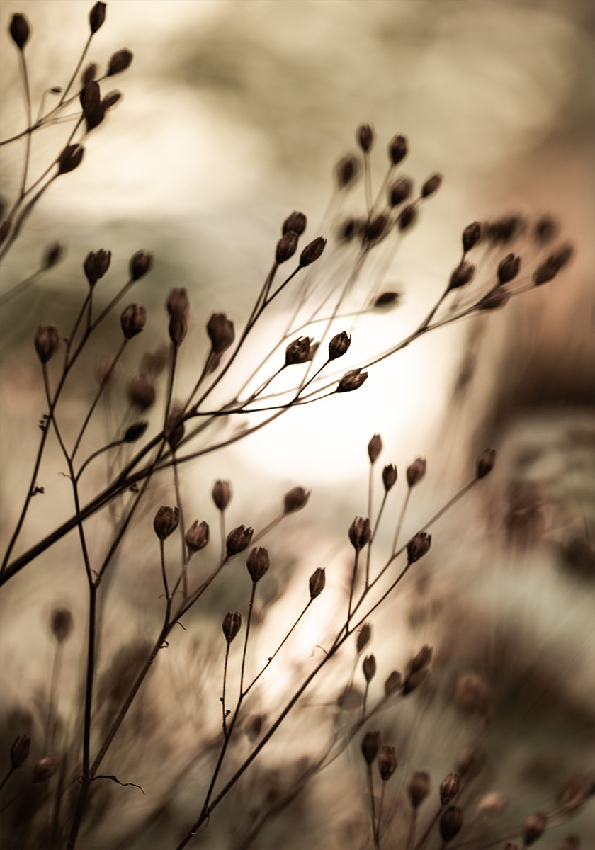 Herfst lichten