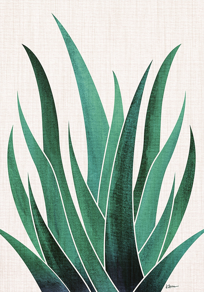 Woestijn Agave Cactus Poster