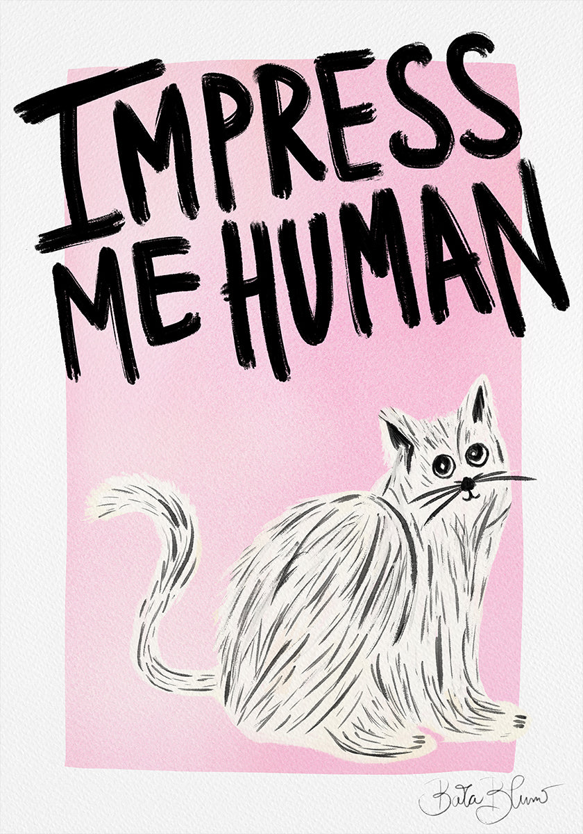 Katteneigenaar - maak indruk op mij menselijke poster